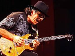 Spesifikasi Gitar PRS 25th Anniversary Santana Signature Model